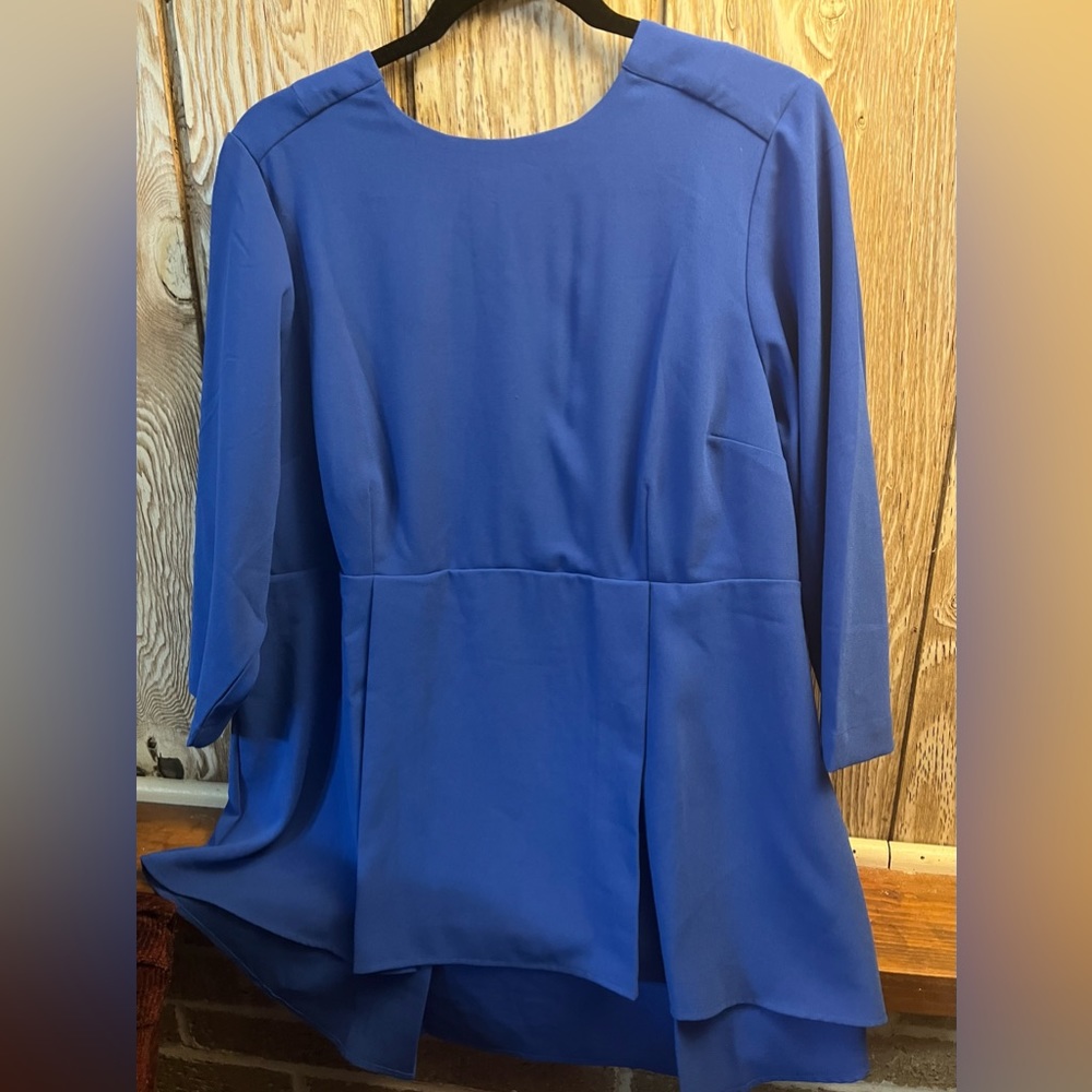 ~Melissa McCarthy Royal Blue Blouse~